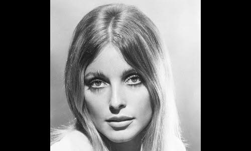 Photographie de Sharon TATE