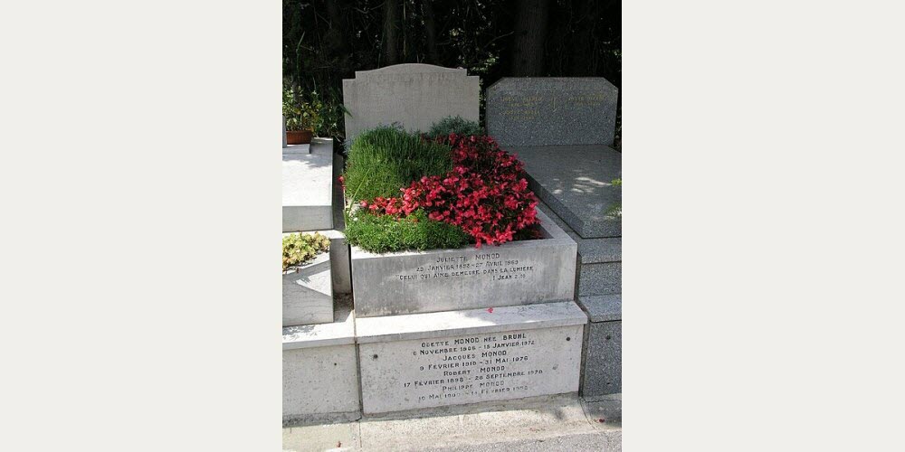 La tombe de Jacques Monod