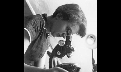 Photographie de Rosalind FRANKLIN