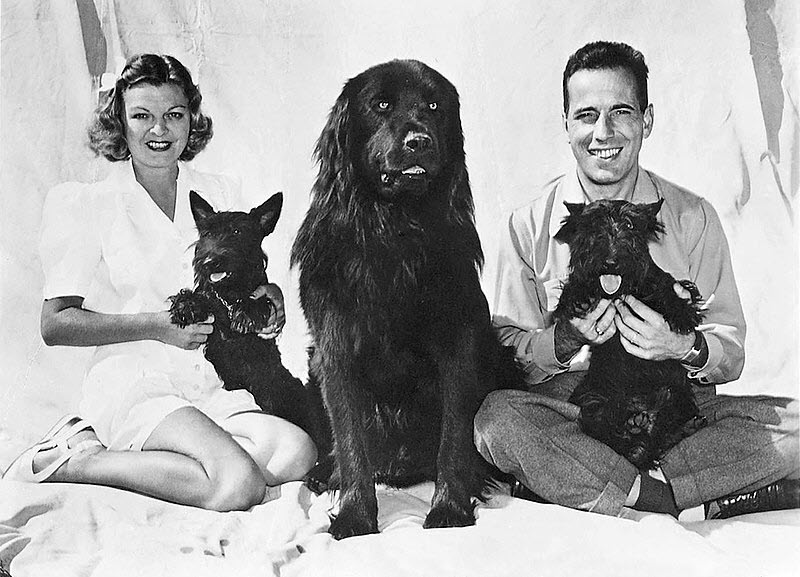 Le couple Bogart et Methot