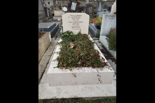 Le décès de Pierre Papadiamandis, compositeur de toujours d'Eddy Mitchell