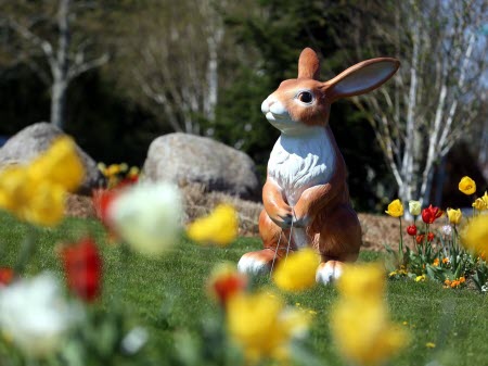 Oeuf, poule, chocolat, agneau... les symboles de la fête de Pâques