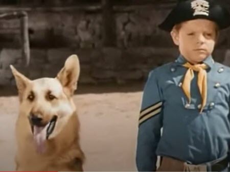 L'acteur Lee Aaker, le petit orphelin de la série culte "Rintintin", nous a quittés