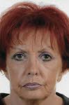 Mme Annie Macel