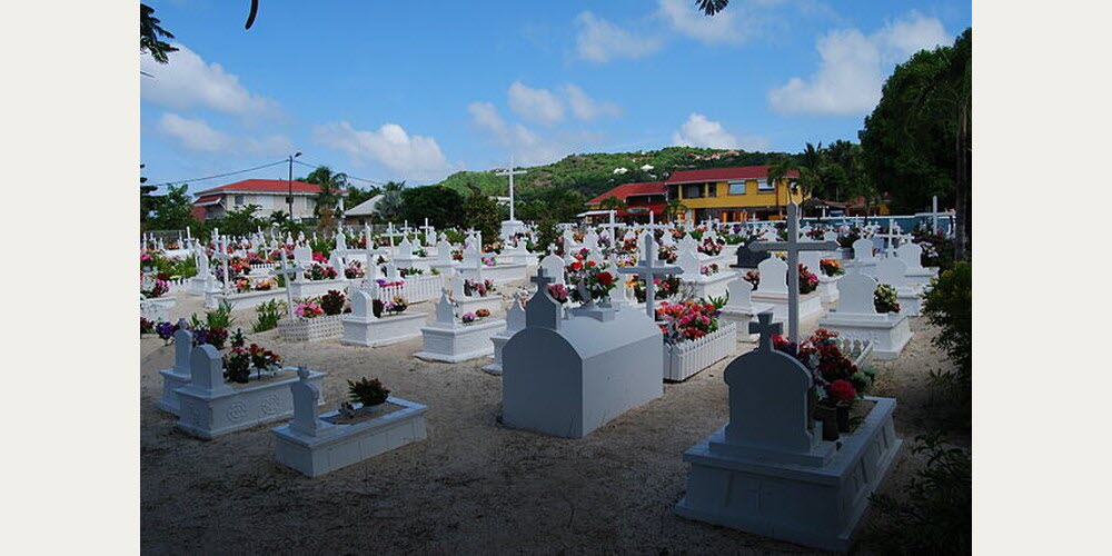 William Ellison, via Wikimedia Commons