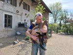 Bruno Altmeyer, fondateur du refuge pour animaux, La Petite Bohème, est décédé