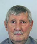M. Rémy Zingraff