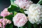 La symbolique des fleurs pour honorer un défunt