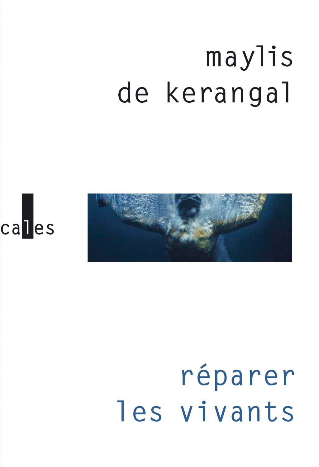 « Réparer les vivants » de Maylis de Kerengal