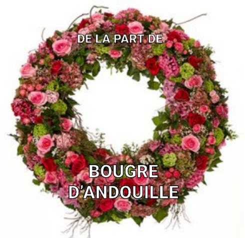 Illustration choisie pour la pensée illustrée