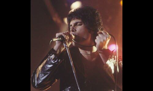 Photographie de Freddie MERCURY