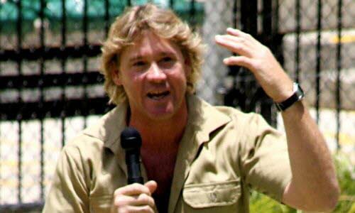 Photographie de Steve IRWIN